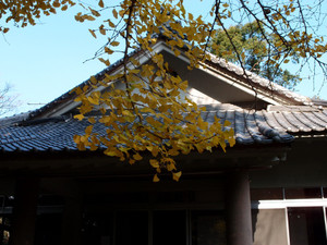 20111223